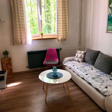Crystal Lakes Apartment Plitvicka Jezera Bagian luar foto