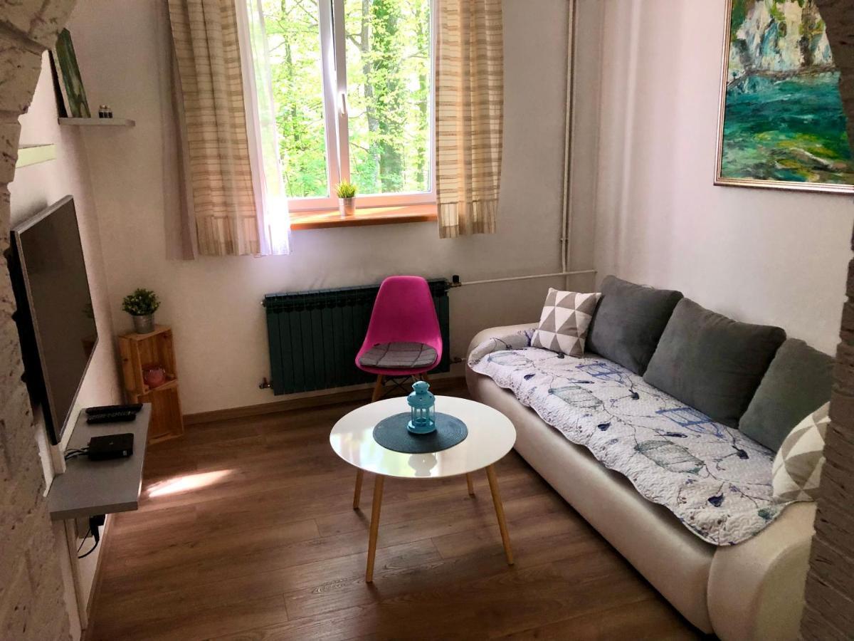 Crystal Lakes Apartment Plitvicka Jezera Bagian luar foto